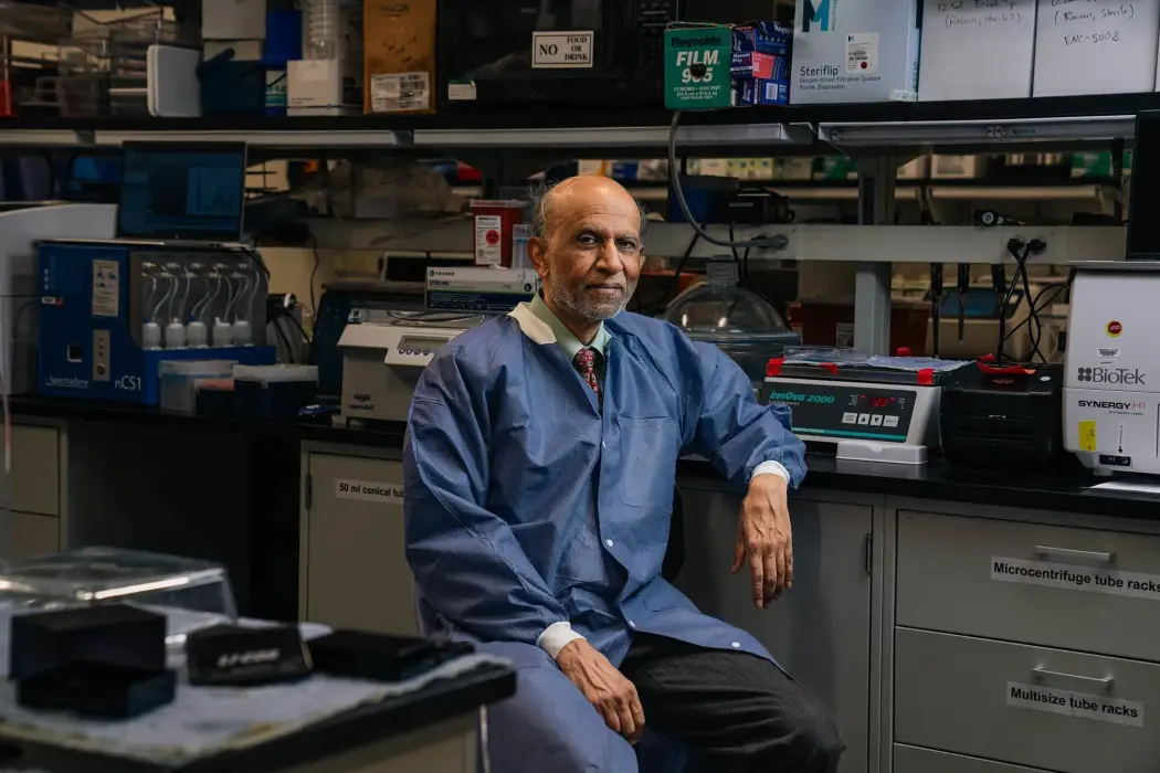 Hình ảnh tái tạo tế bào thần kinh và khớp thần kinh trong vùng hồi hải mã của chuột bằng kỹ thuật lập bản đồ não do E11 Bio phát triển. Nguồn: Tyler Sloan/Quorumetrix.