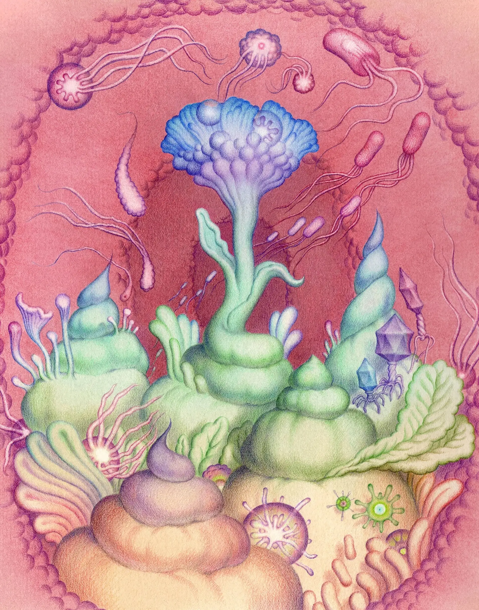 2000x2545