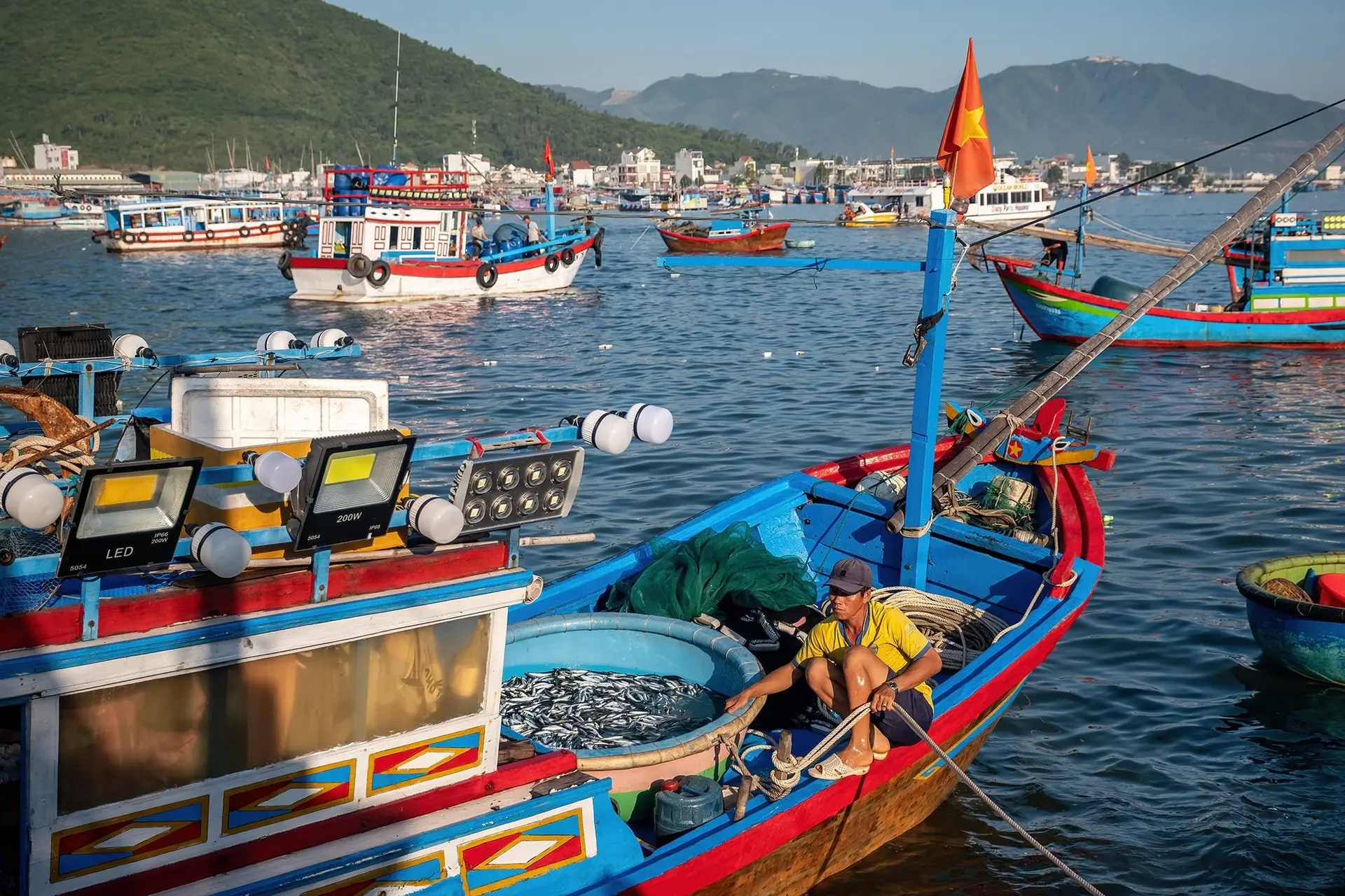 Hình ảnh: Linh Phạm 