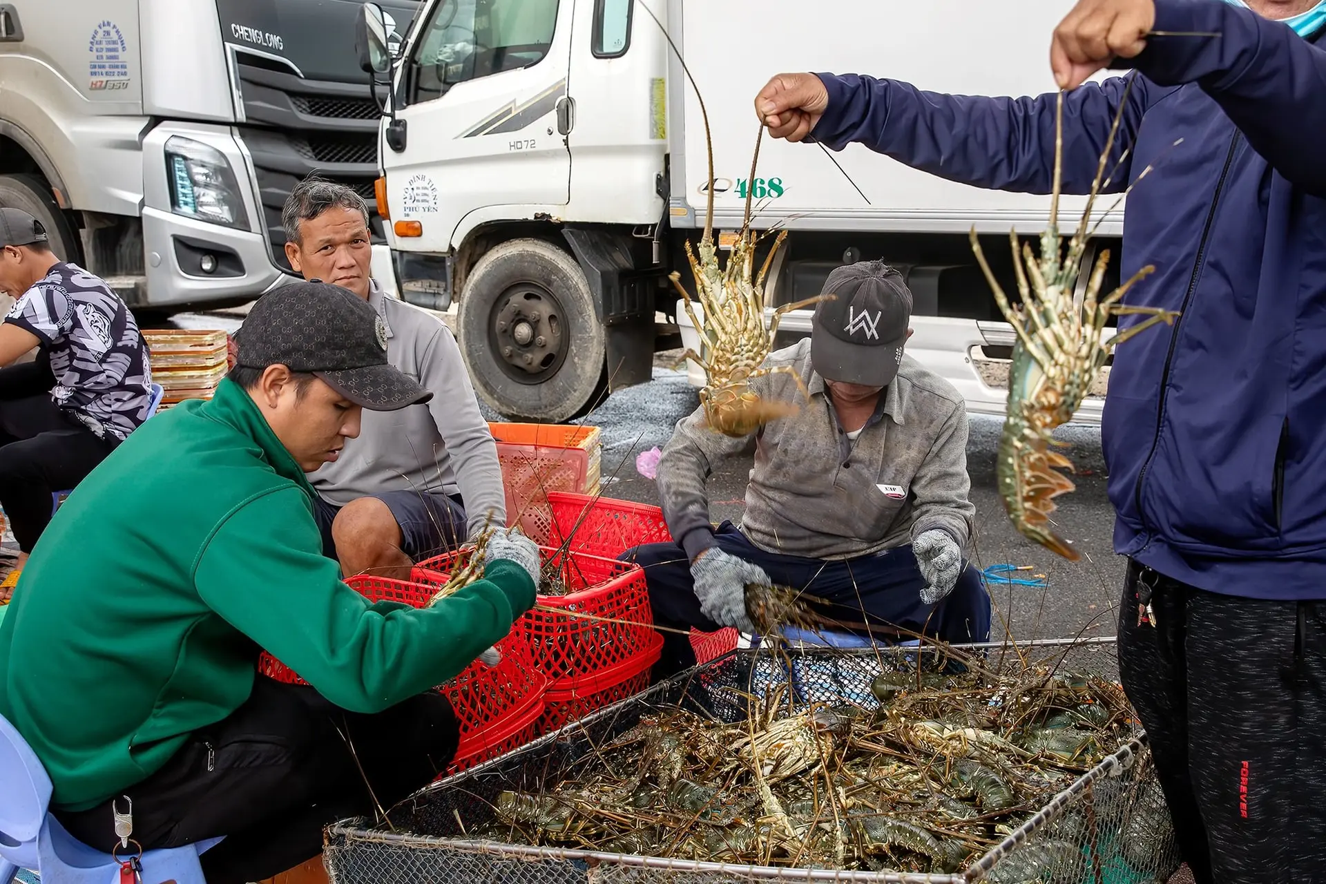 Hình ảnh: Maika Elan 