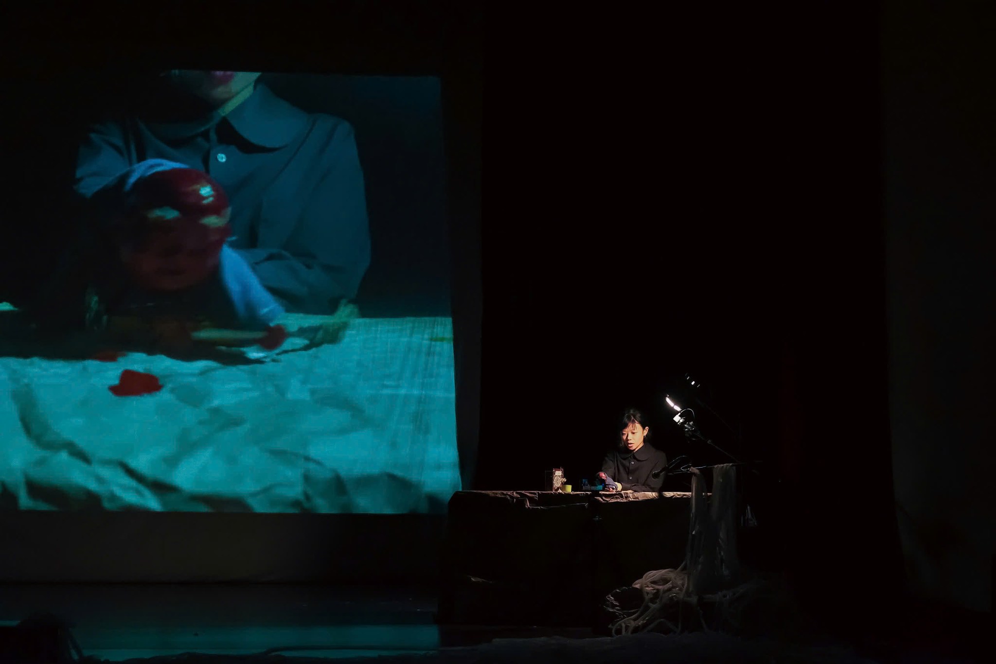 480685763_931027479195854_8888221245170729485_n