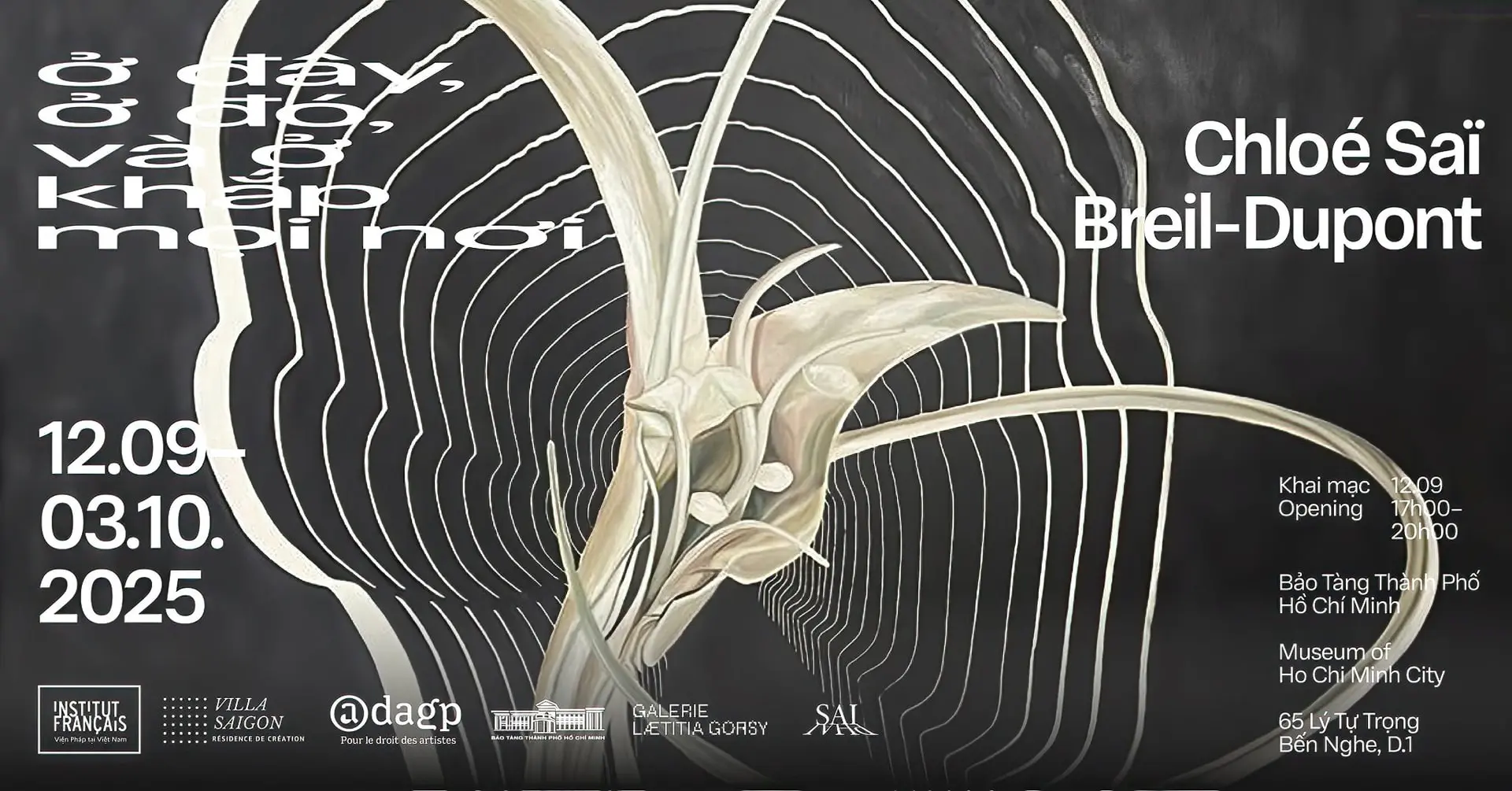 539953389_1085626400415696_20190288767445729_n-1-