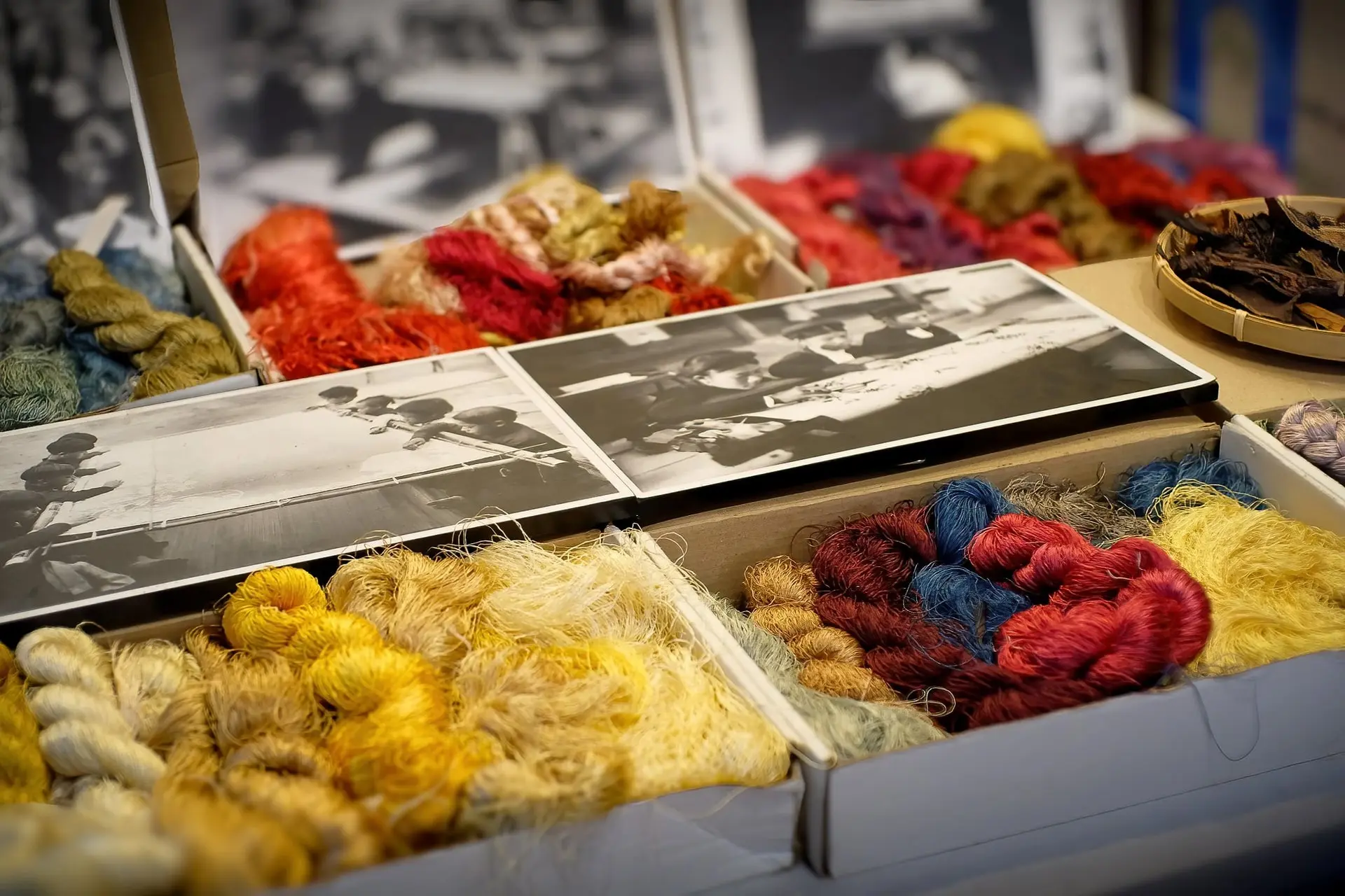 545127767_1266798635458452_9178299819062506822_n