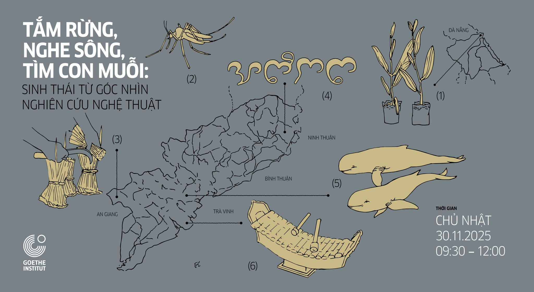 583340337_1280045617498287_7646186820563218910_n