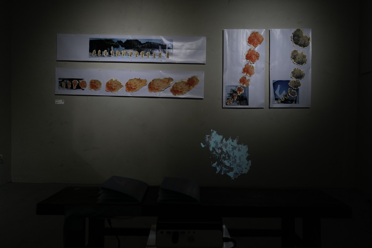 586847809_17866875504497285_2127104724482372634_n