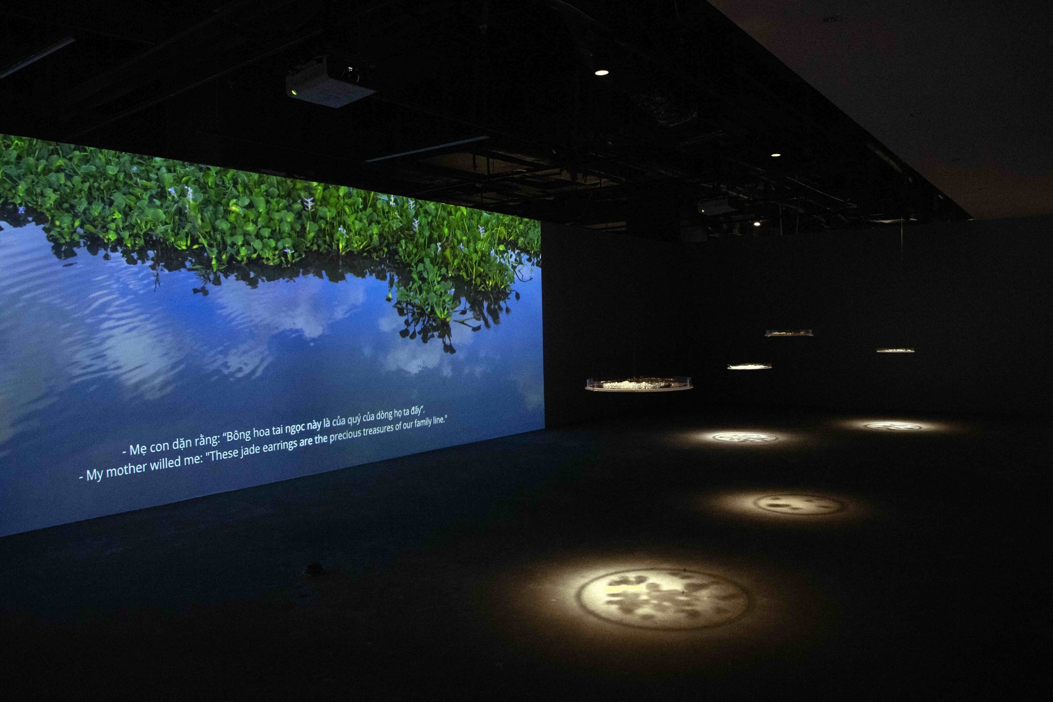 609061817_1340589604774284_6270769372305630893_n