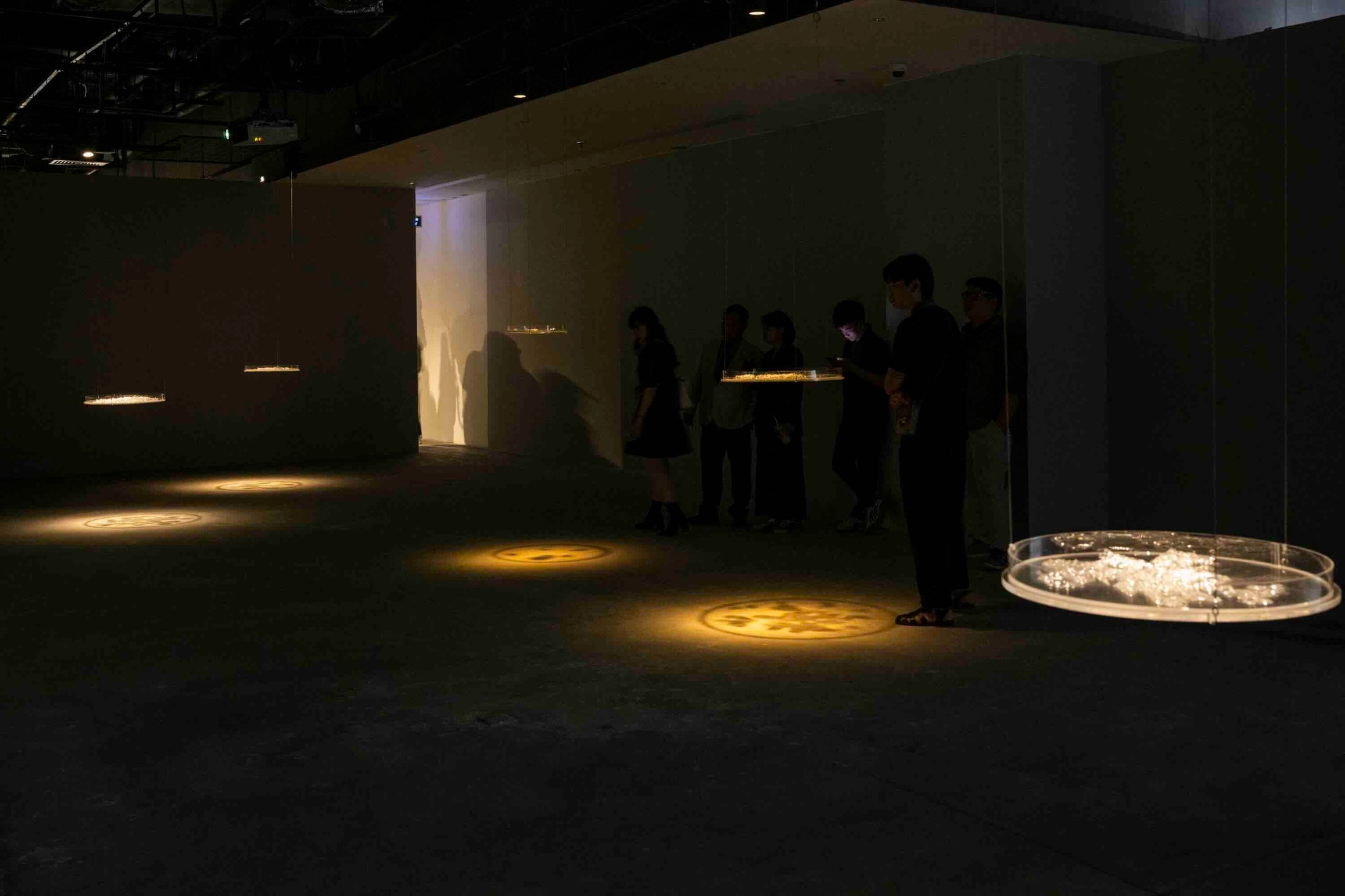 611619750_1340589664774278_2399844742287211645_n