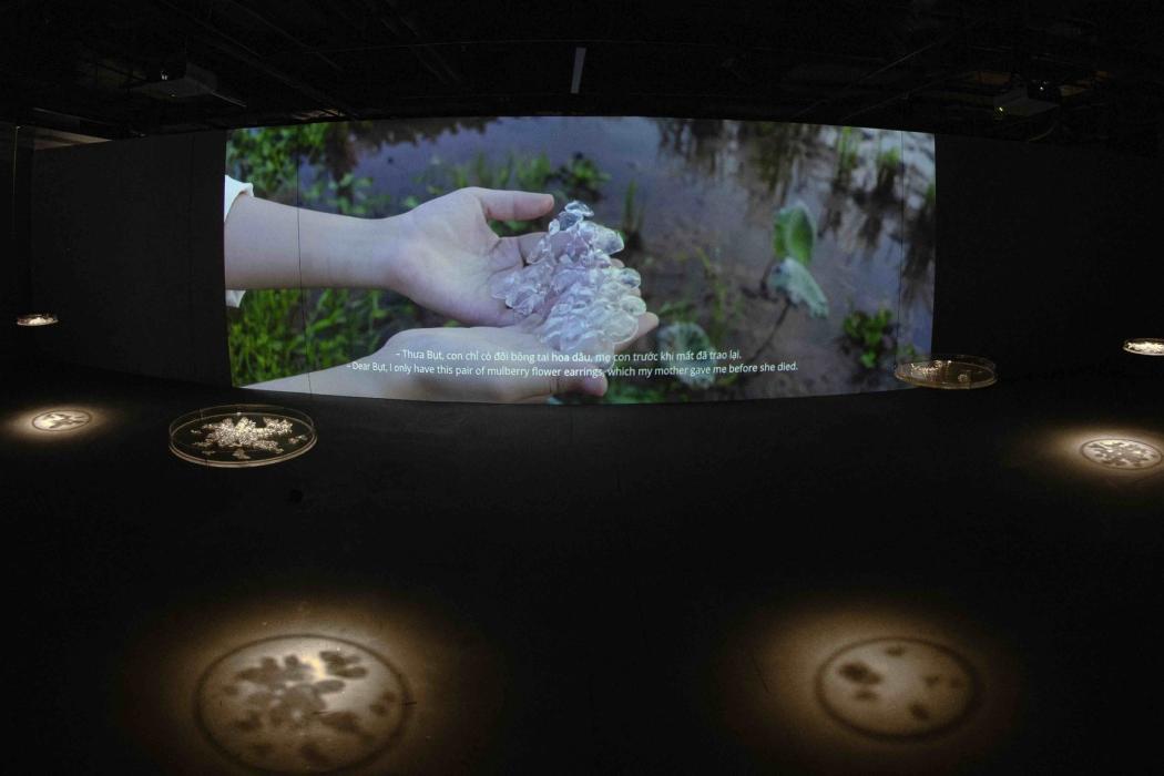 Dạ lai hương, ký ức tối và thời khắc chập chiều