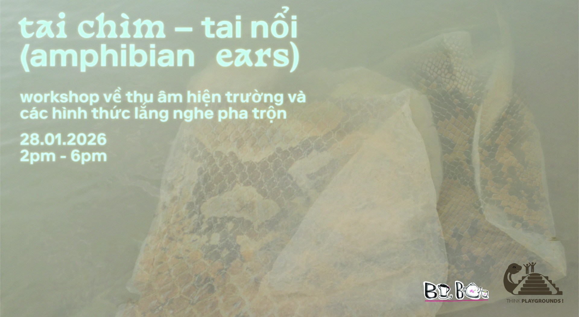 616798801_1316223470543614_1008457128267612918_n