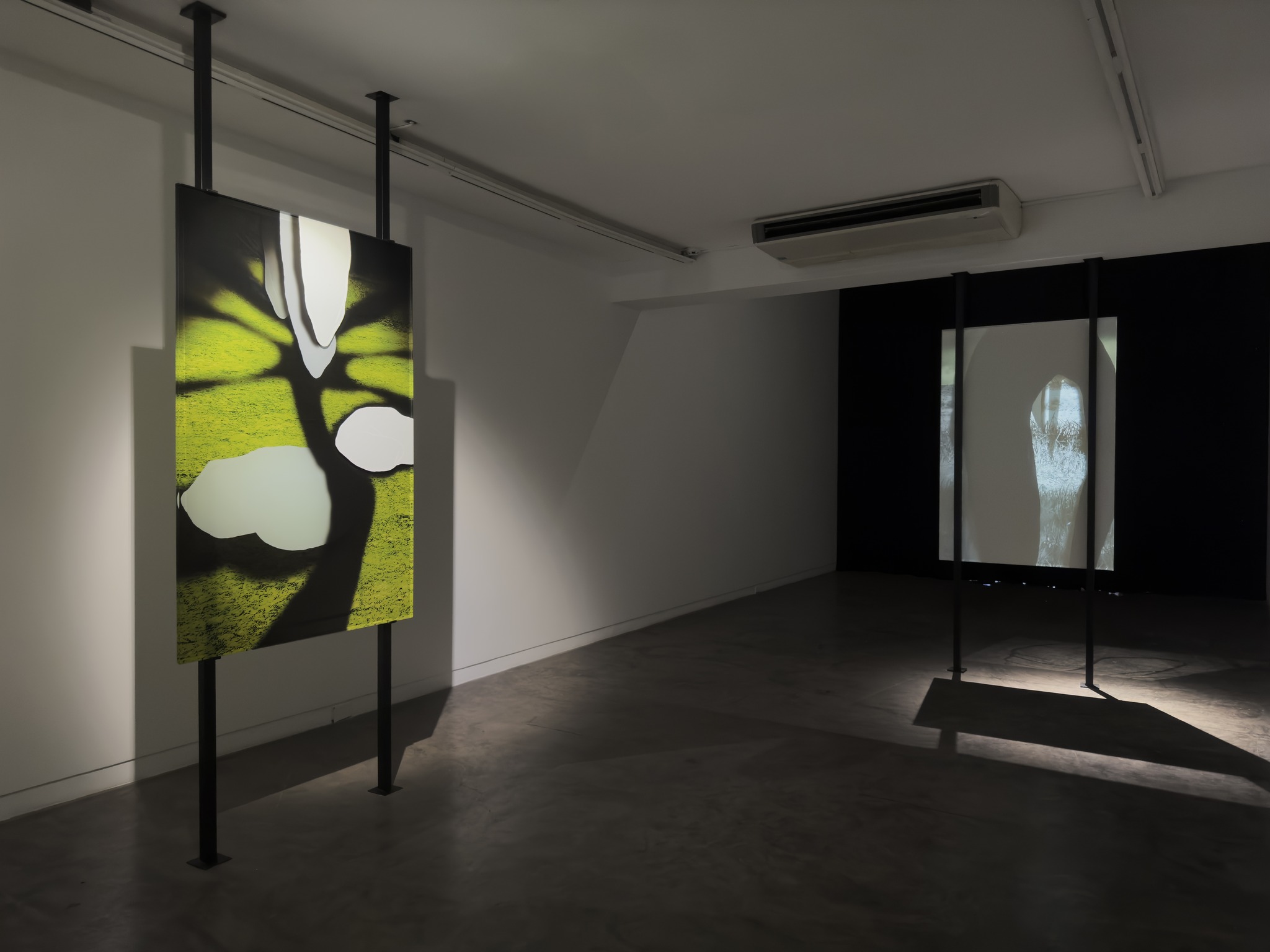 623074077_1470144568452062_632936342867208733_n