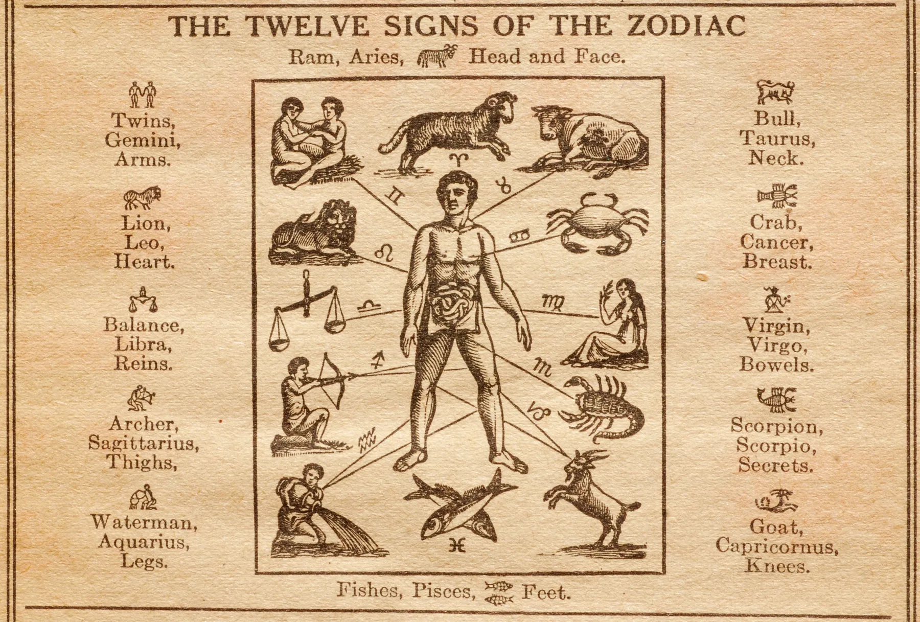 astrological chart