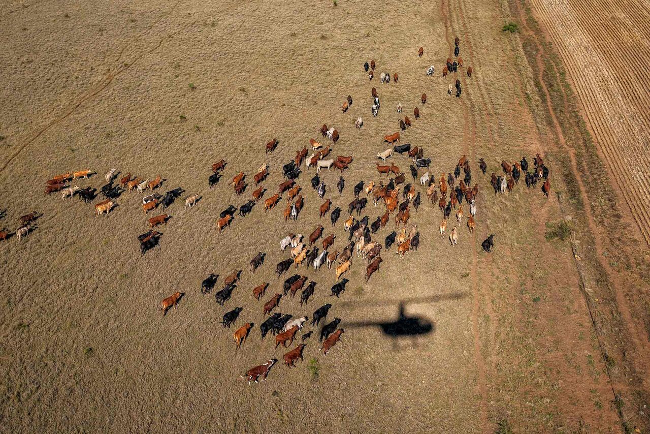 Australian agriculture 02