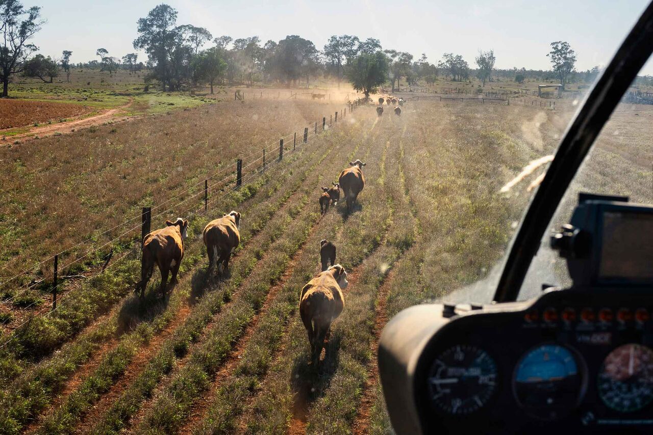 Australian agriculture 03