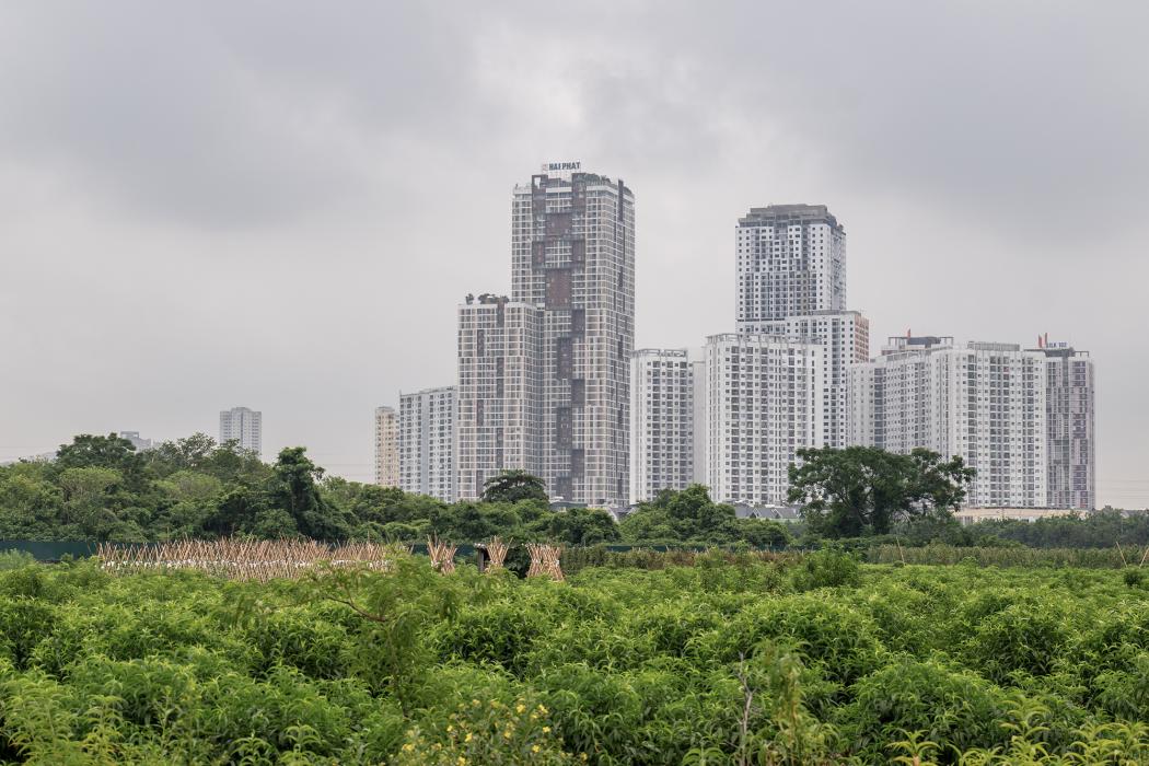 Hình ảnh: Hoàng Việt 