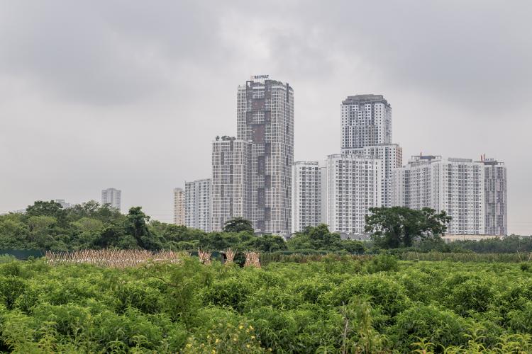 Hình ảnh: Hoàng Việt