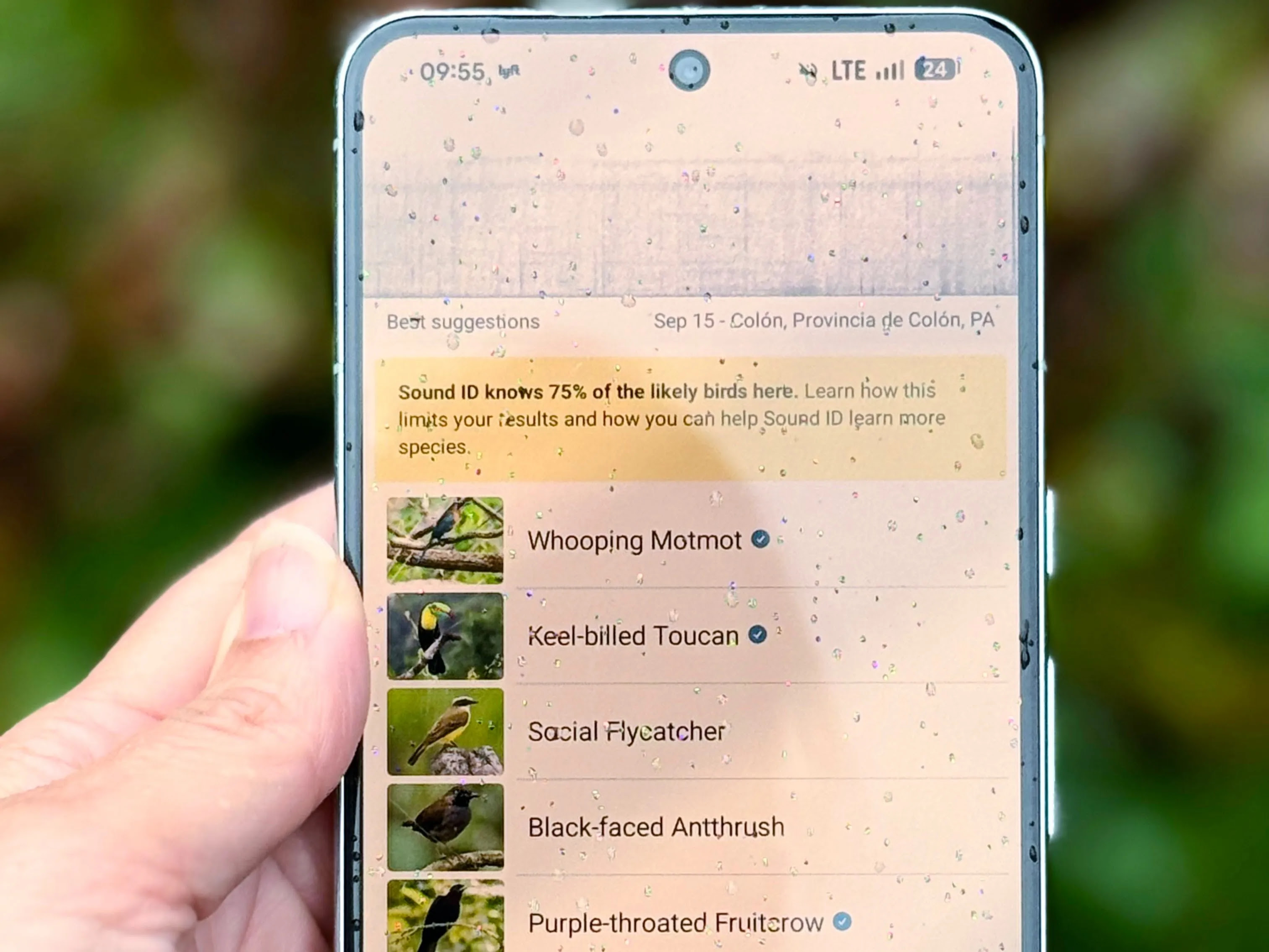 Birding apps