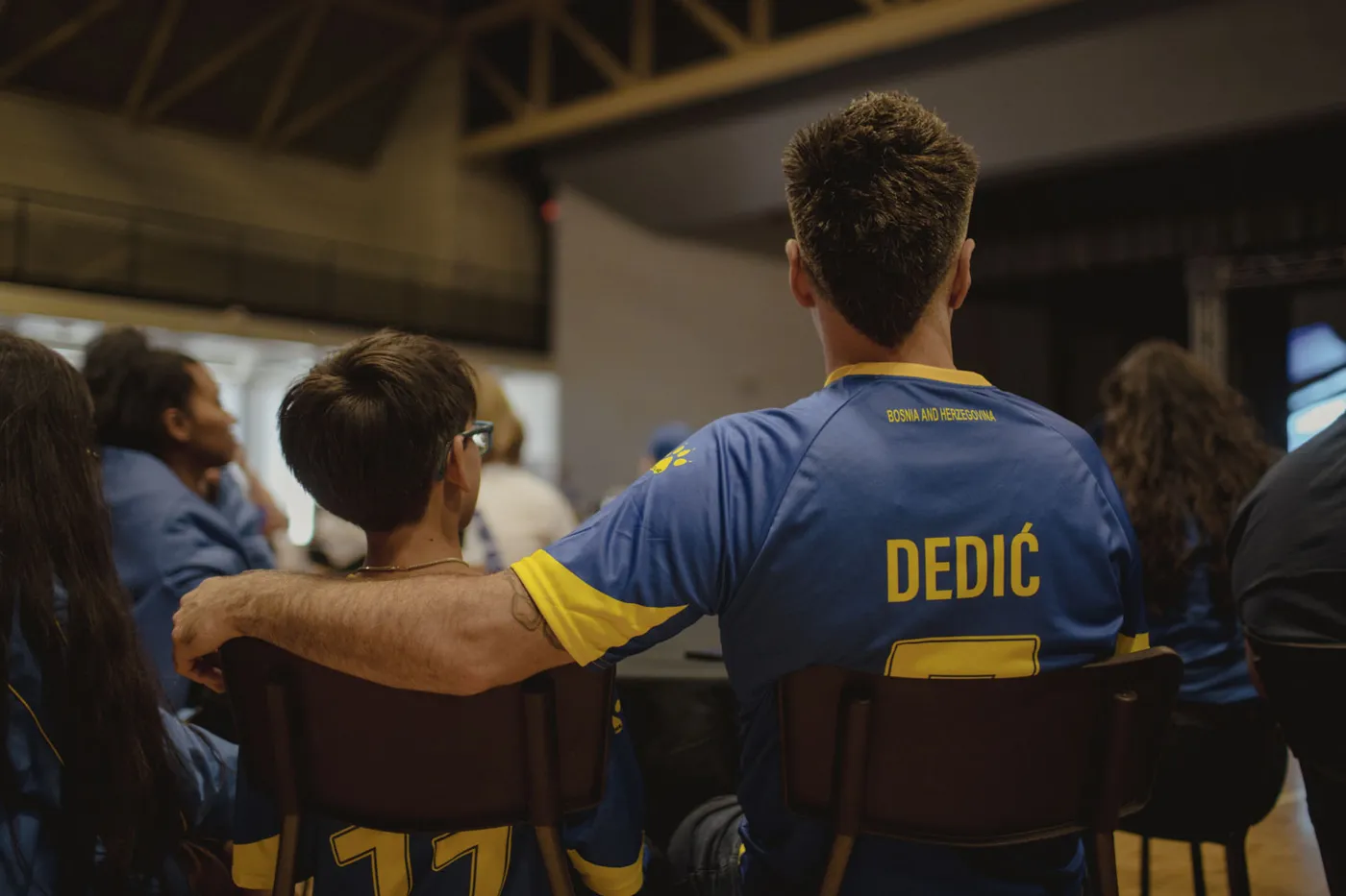 Bosnia fan