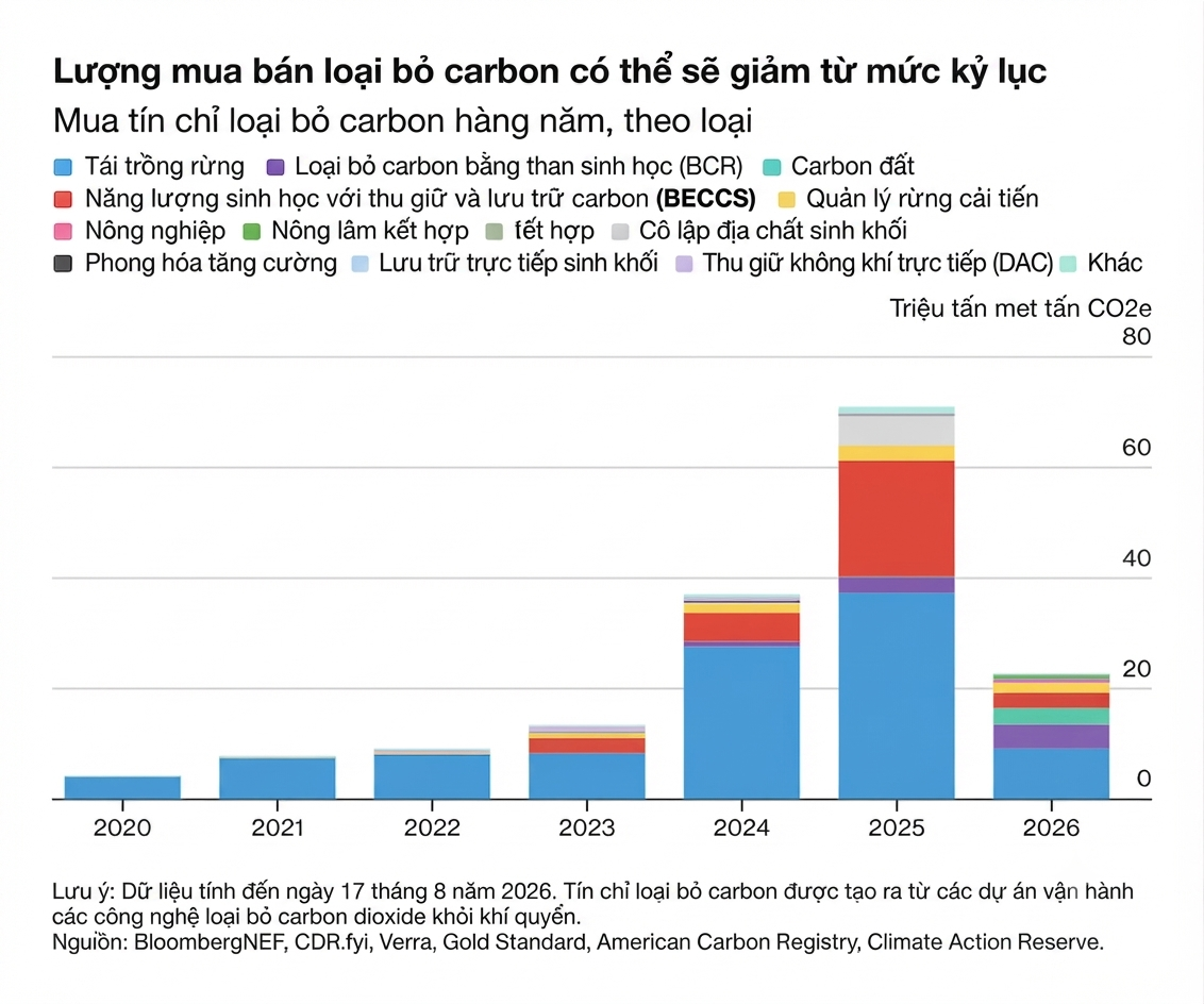 carbon chart