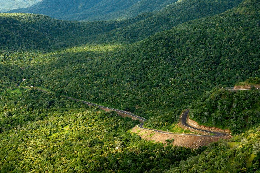 Hình ảnh: Shutterstock 