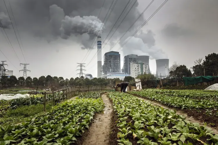 Hình ảnh: Qilai Shen/Bloomberg