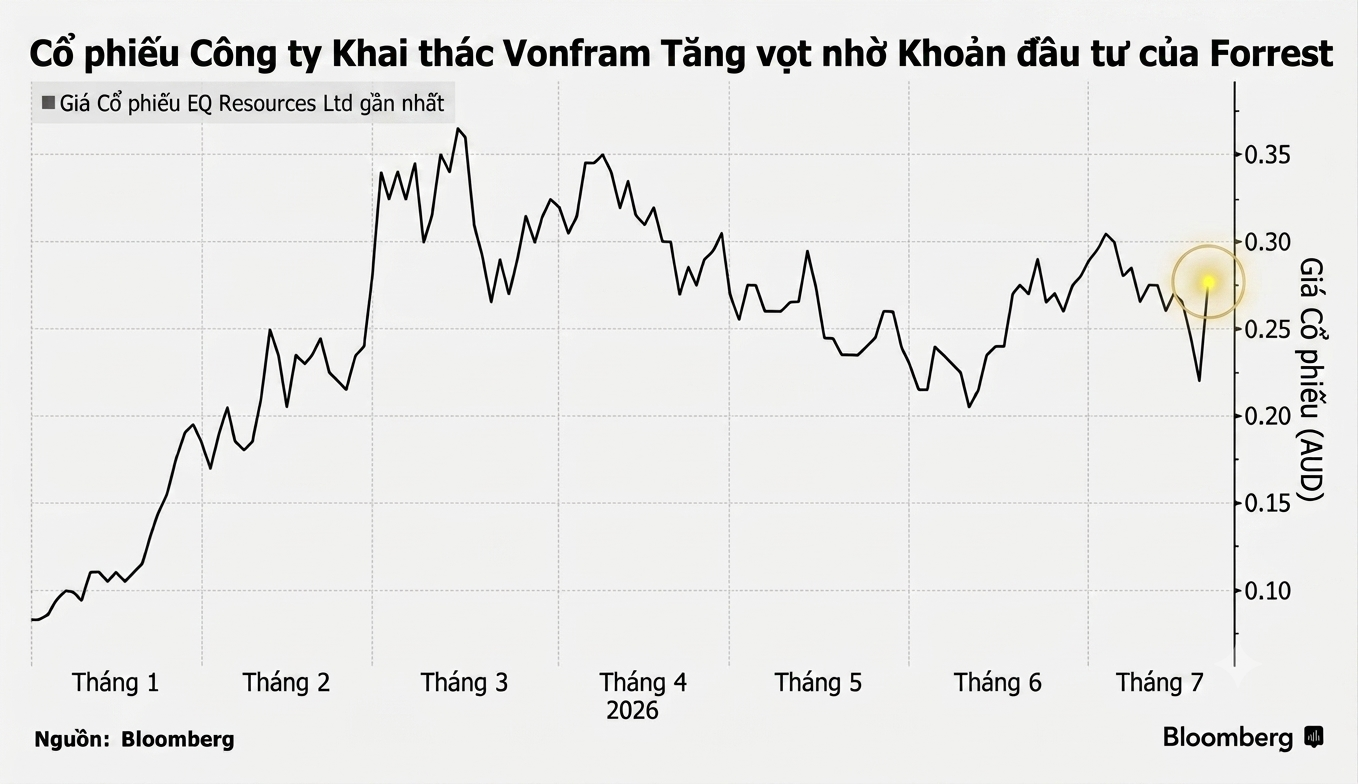 Chart-7