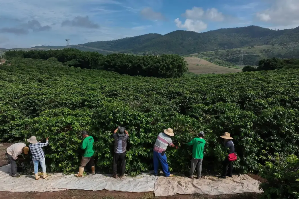 Hình ảnh: Dimas Adrian/Bloomberg 