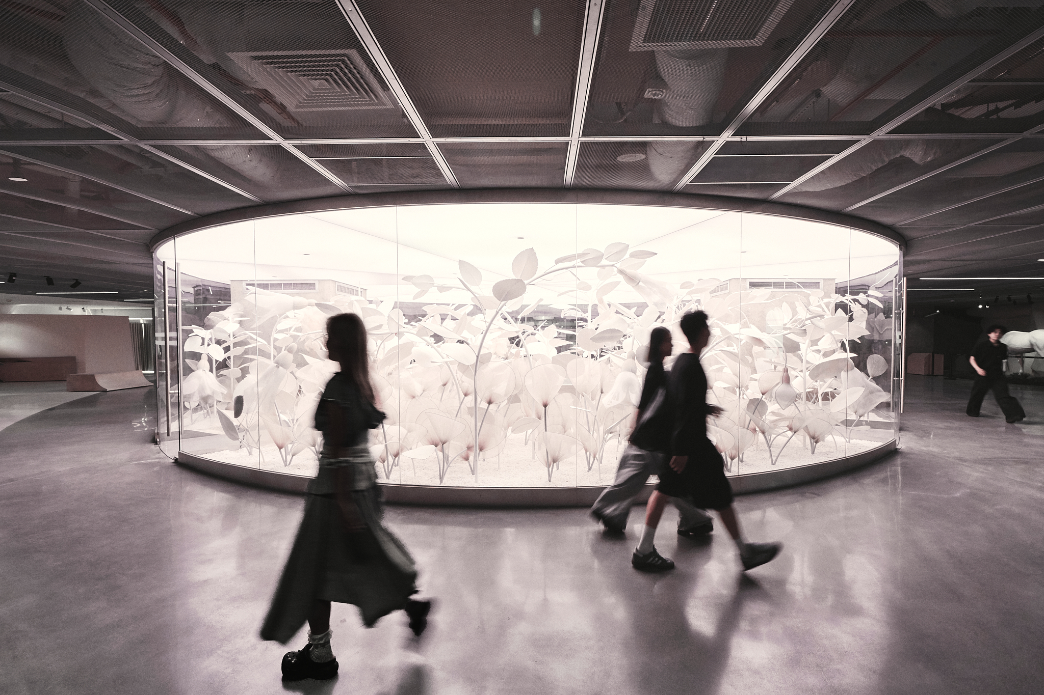 Copy of _TOM6070 1-1