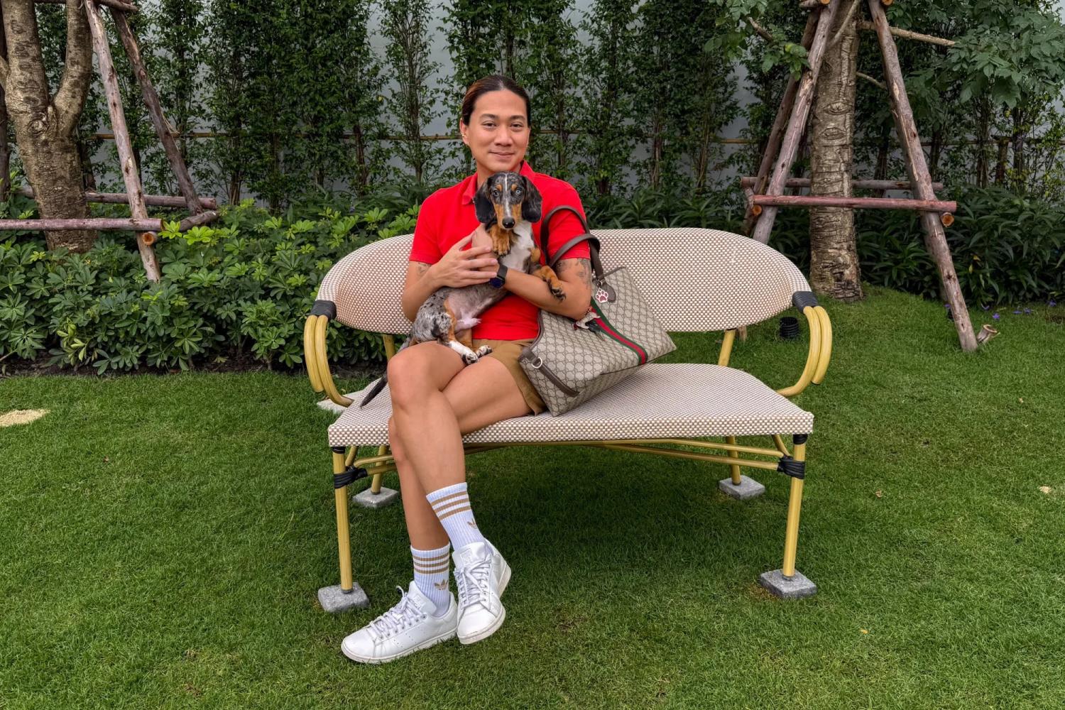 Vì sao chó dachshund lại trở nên phổ biến đến vậy?