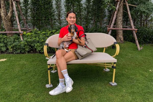 Vì sao chó dachshund lại trở nên phổ biến đến vậy?