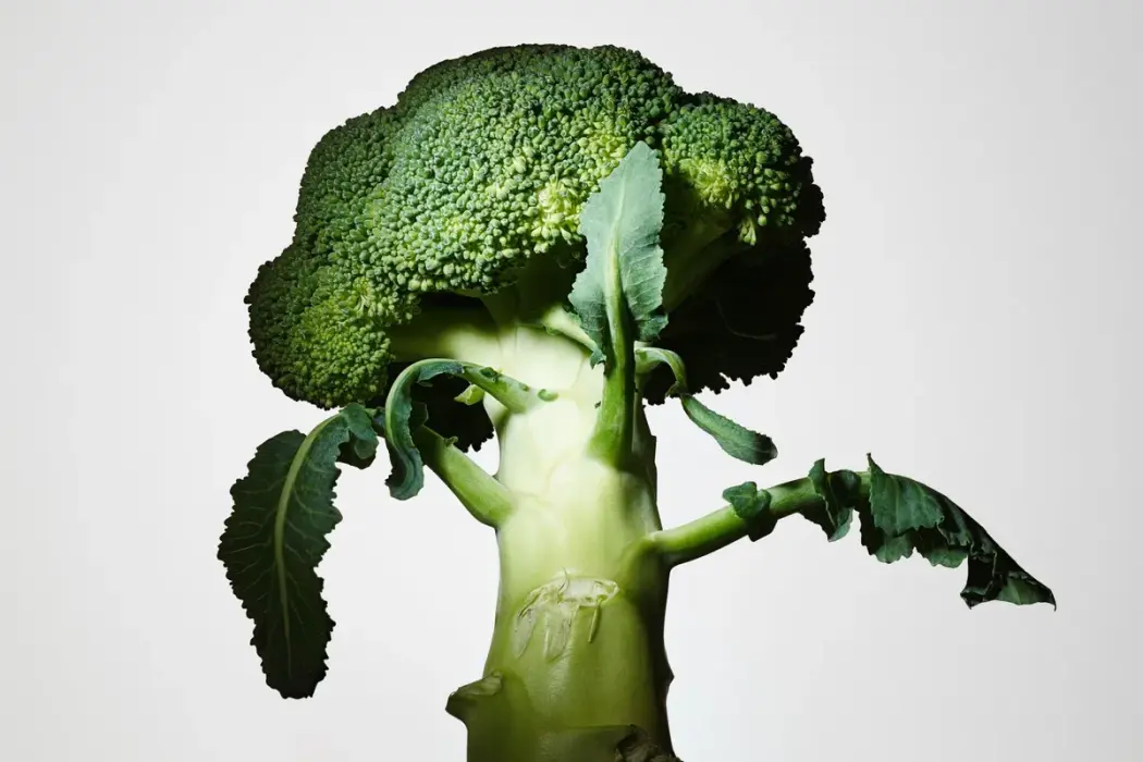 Hình ảnh: Maciek Miloch/ Bloomberg Businessweek