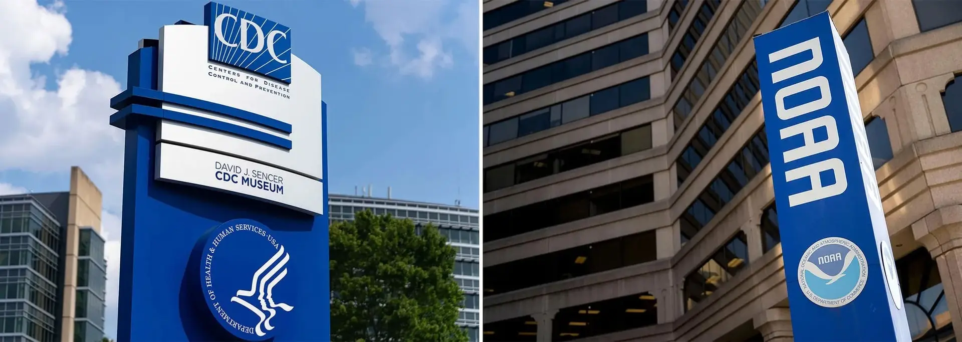 disease-control_bloomberg