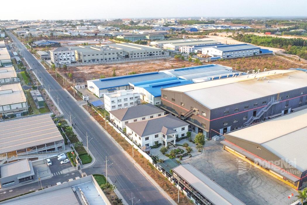 Hình ảnh: Báo Đồng Nai