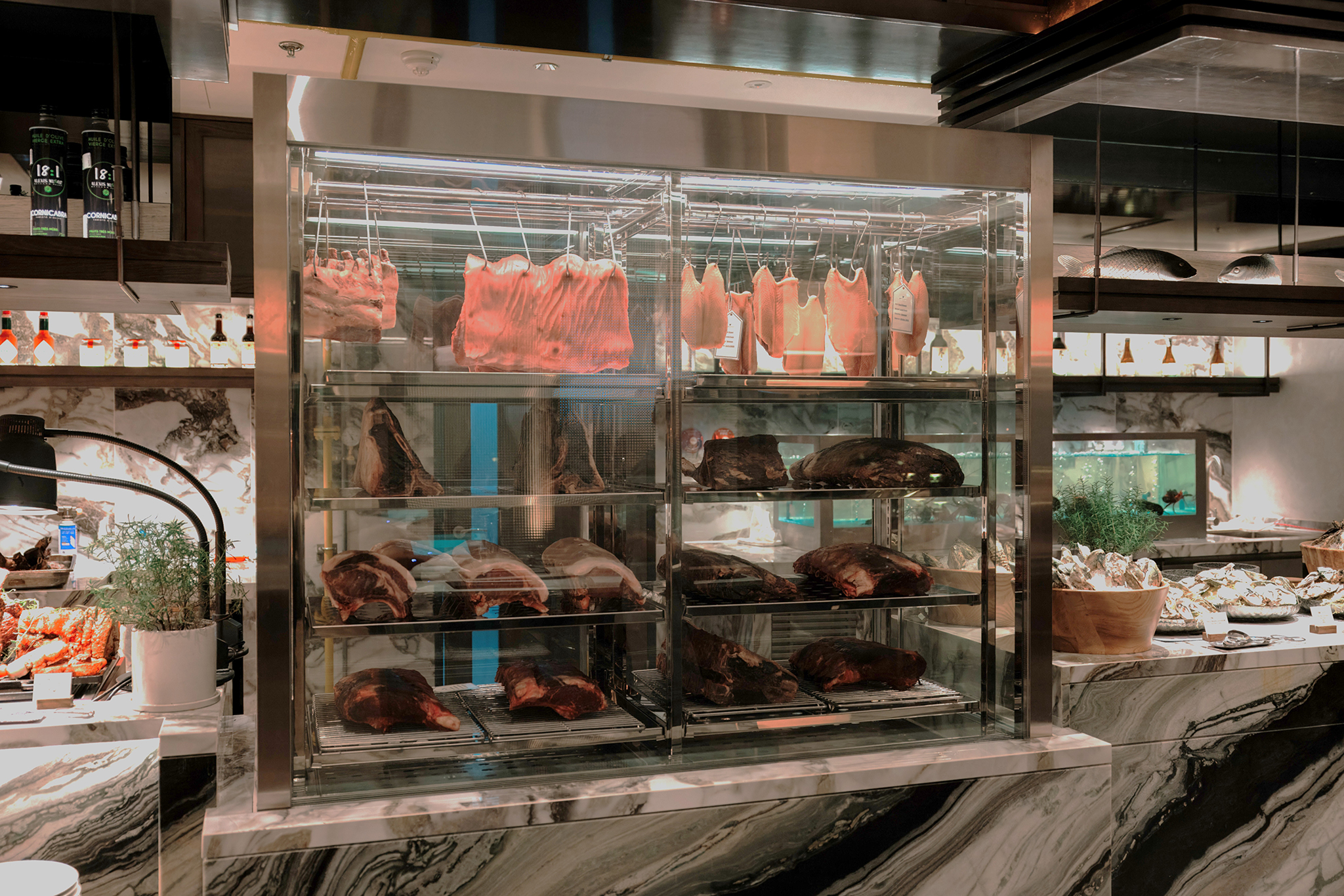 Dry aged meat fridge