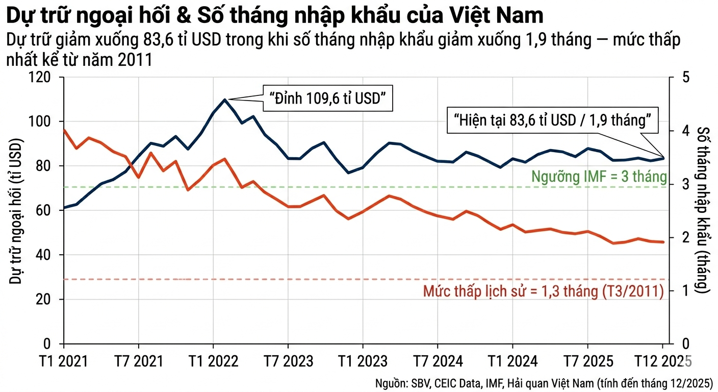 Du tru ngoai hoi Bam studio