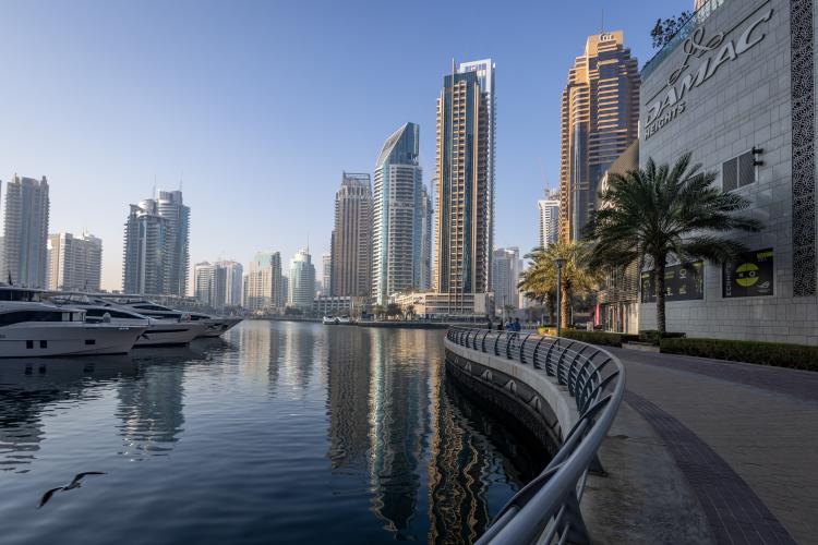 Hình ảnh: Walaa Alshaer/Bloomberg