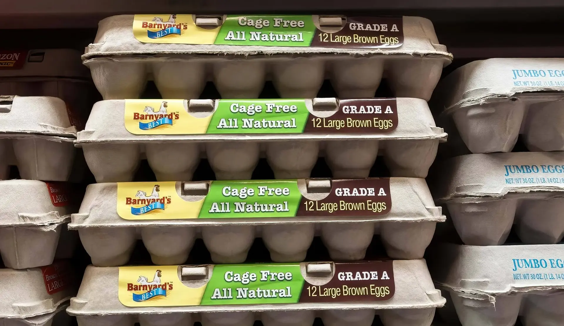 eggs-02