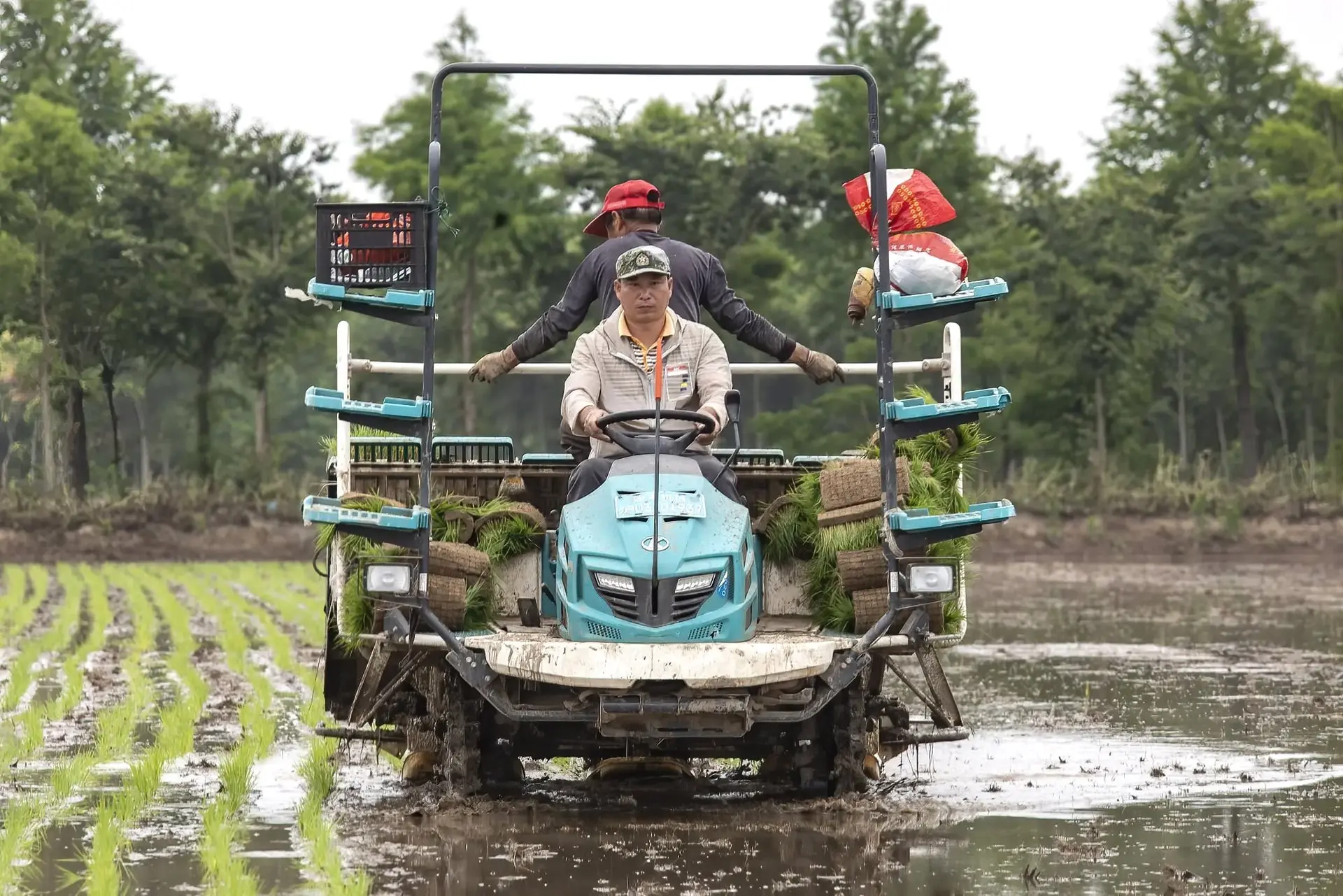 farmer-shanghai_qilai-shen