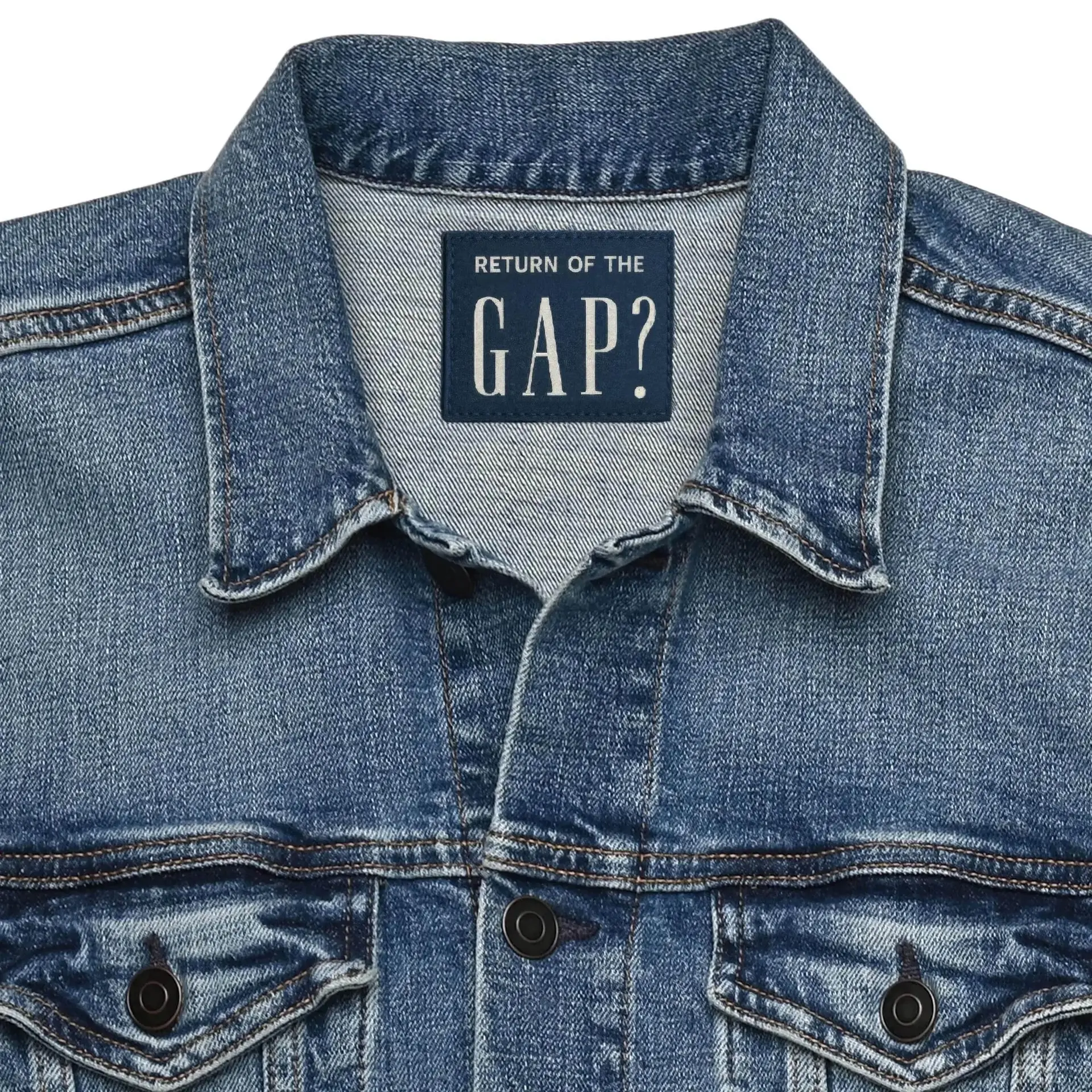 gap-hoi-sinh