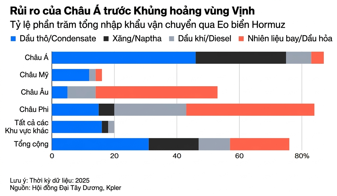 Gemini_Generated_Image_8hfzuq8hfzuq8hfz