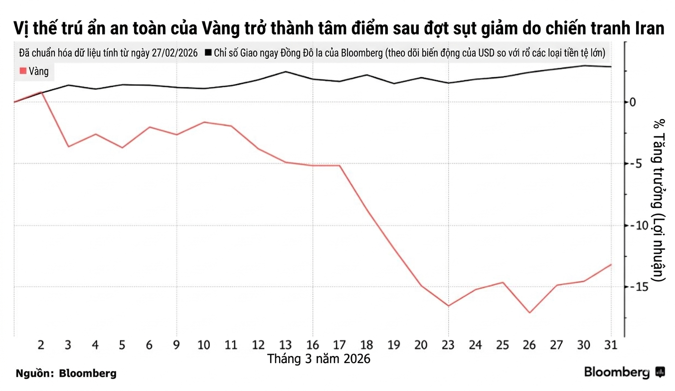 Gemini_Generated_Image_dn6g1fdn6g1fdn6g