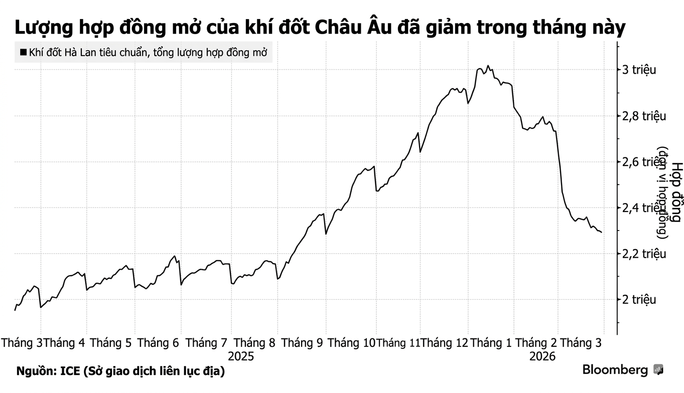 Gemini_Generated_Image_iafsvmiafsvmiafs