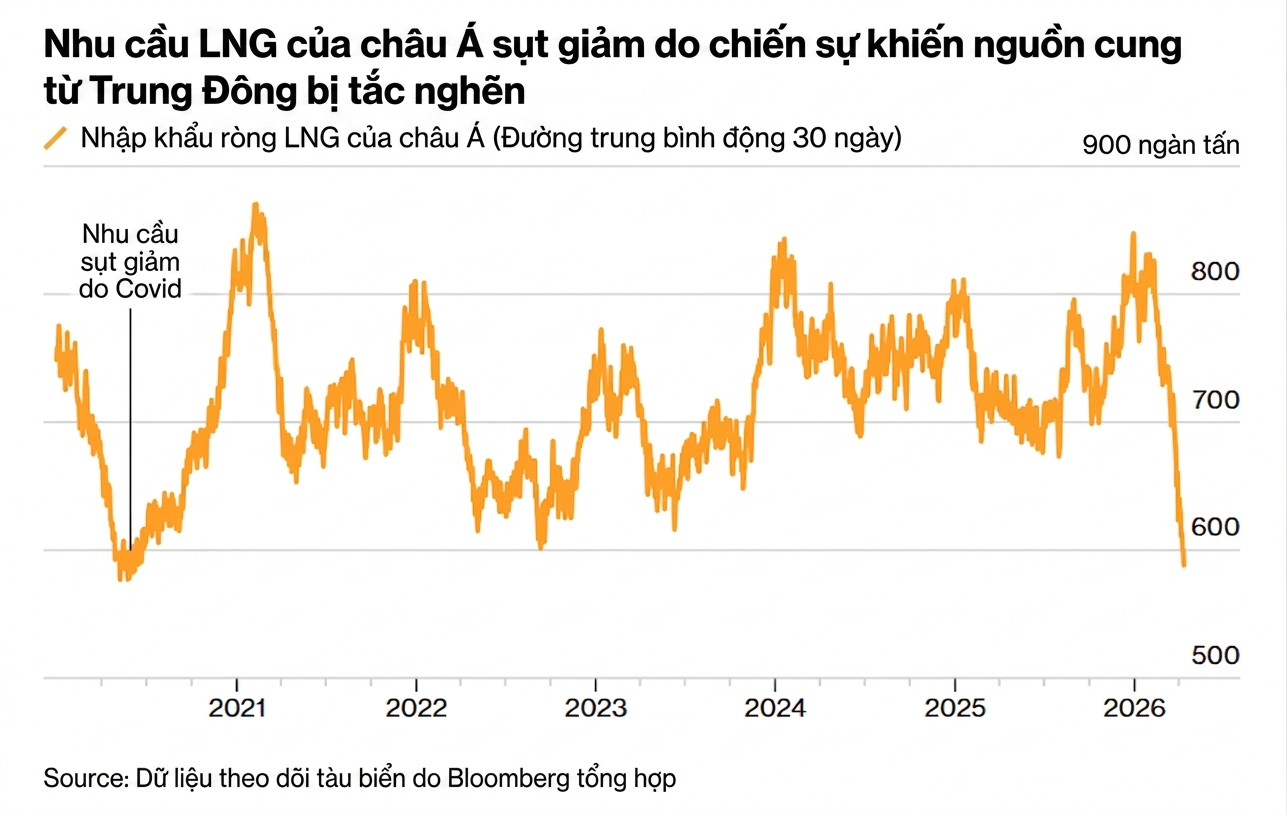 Gemini_Generated_Image_qczsfvqczsfvqczs