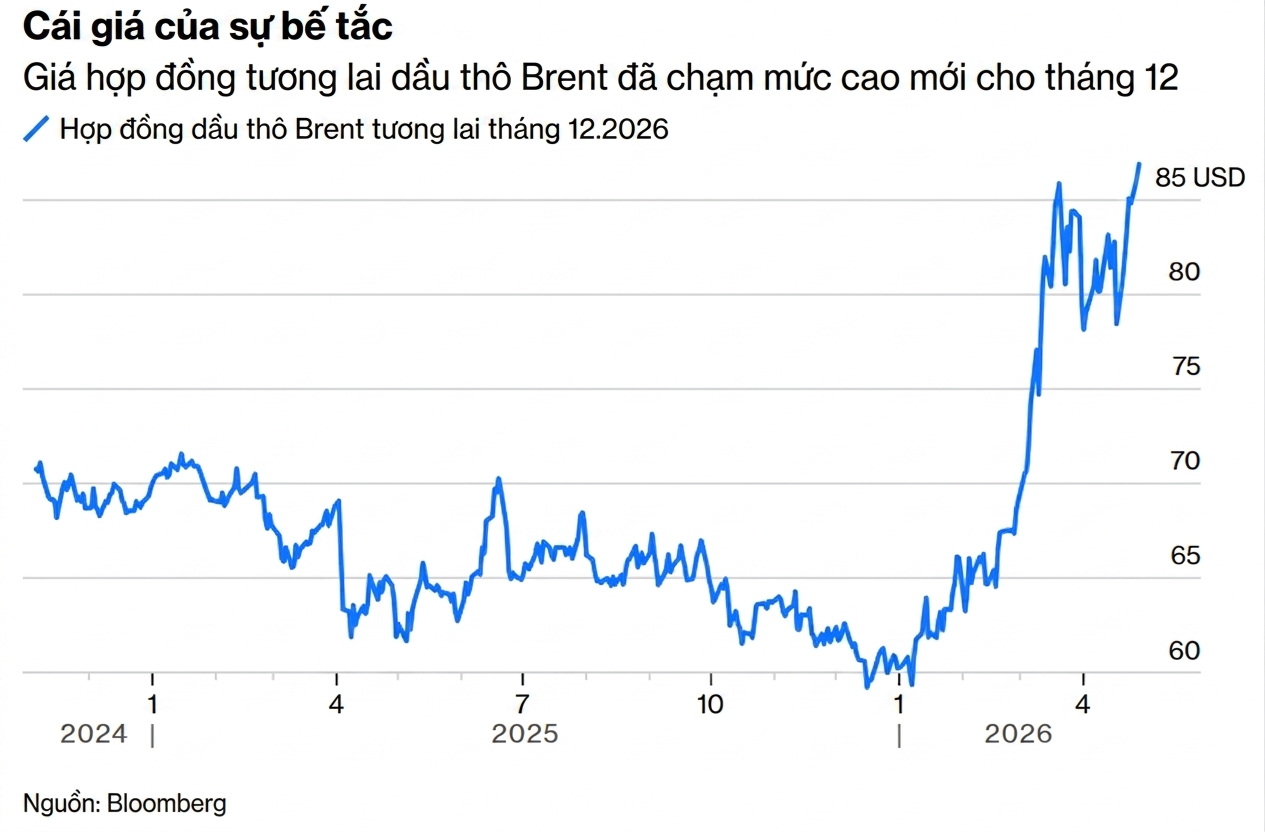Gemini_Generated_Image_ro3nnbro3nnbro3n