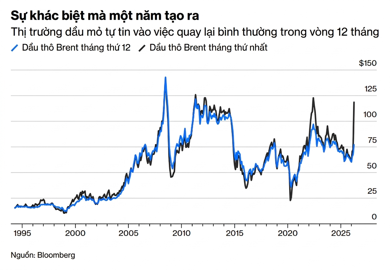 Gemini_Generated_Image_t7yj1ht7yj1ht7yj