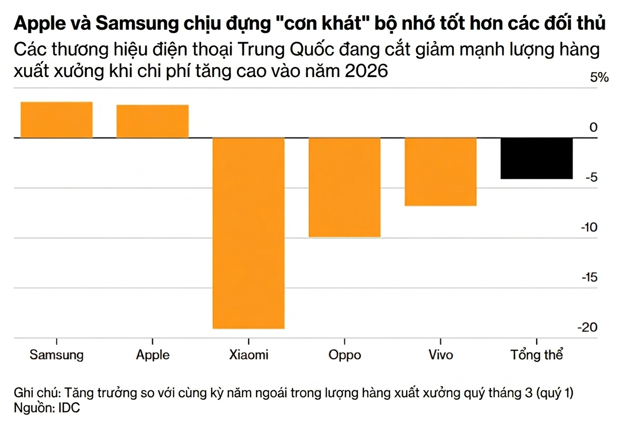 Gemini_Generated_Image_wqm4cvwqm4cvwqm4