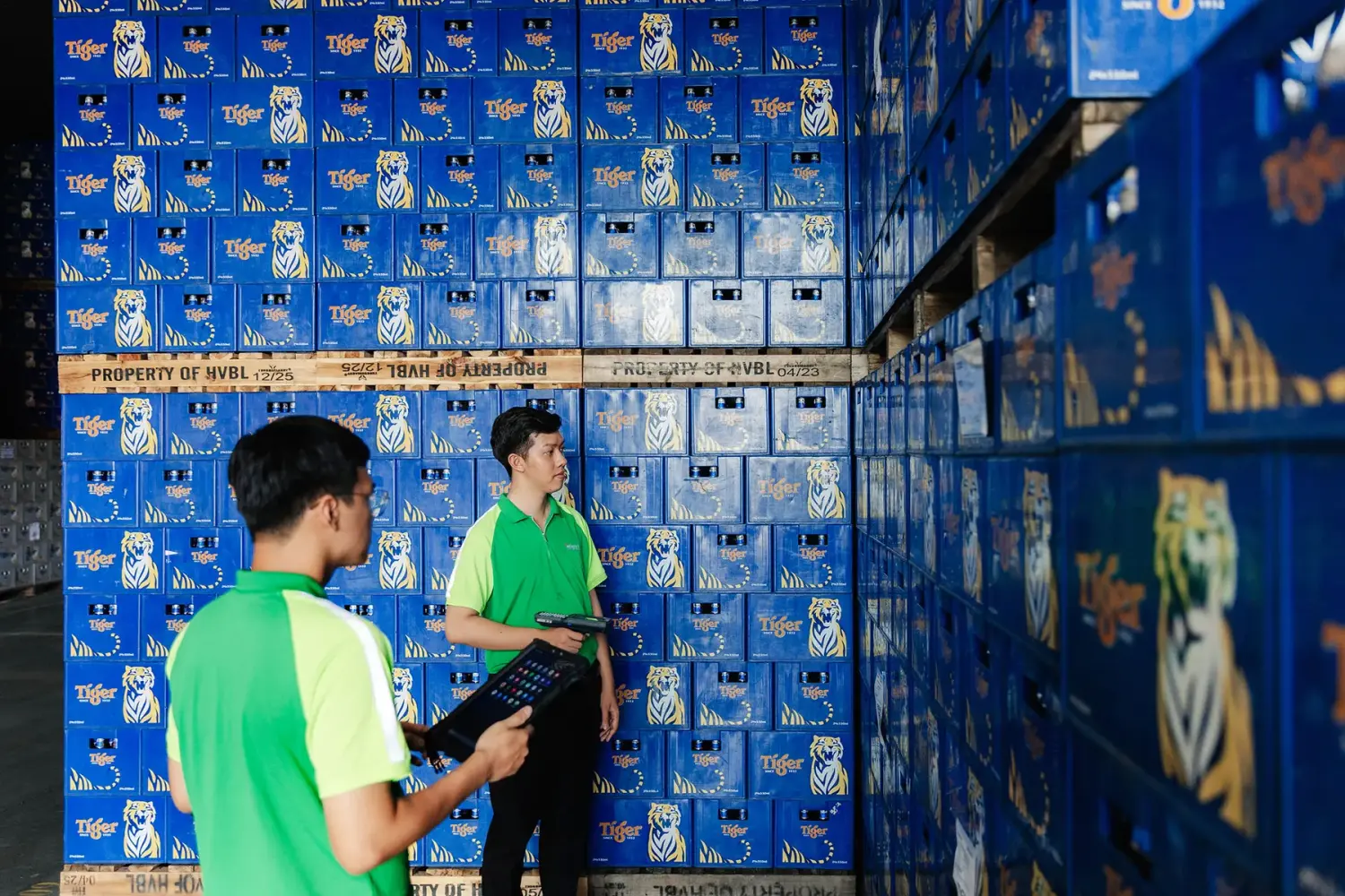 Các hãng bia đặt cược vào Việt Nam để tìm lại tăng trưởng