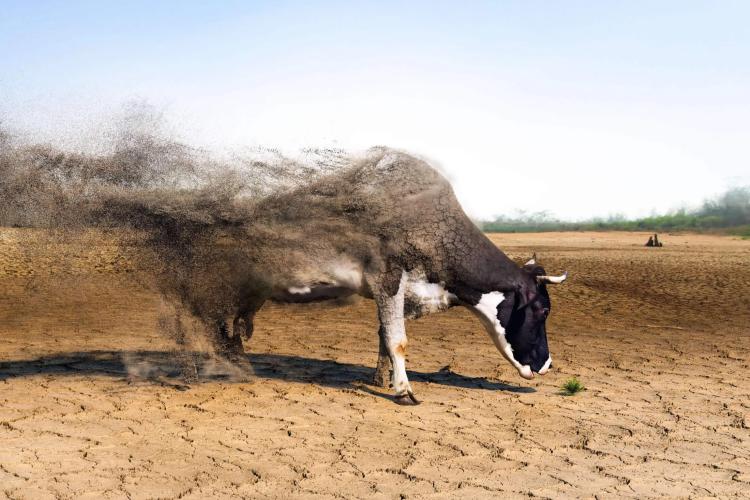 Hình ảnh: Justin Metz cho Bloomberg Businessweek