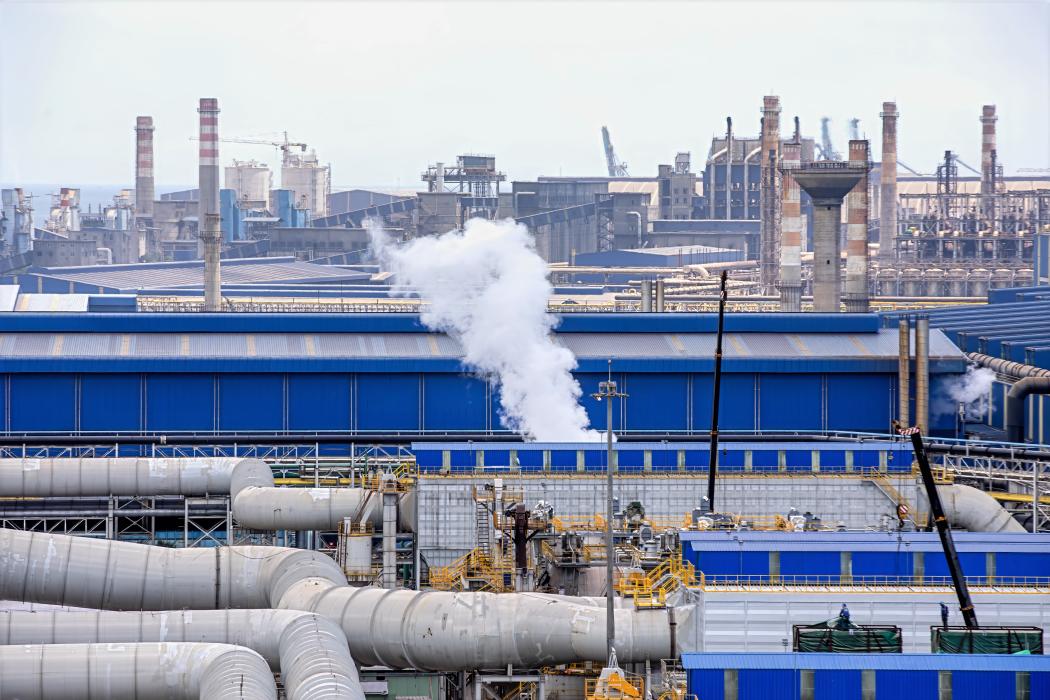 Hình ảnh: Maika Elan. 