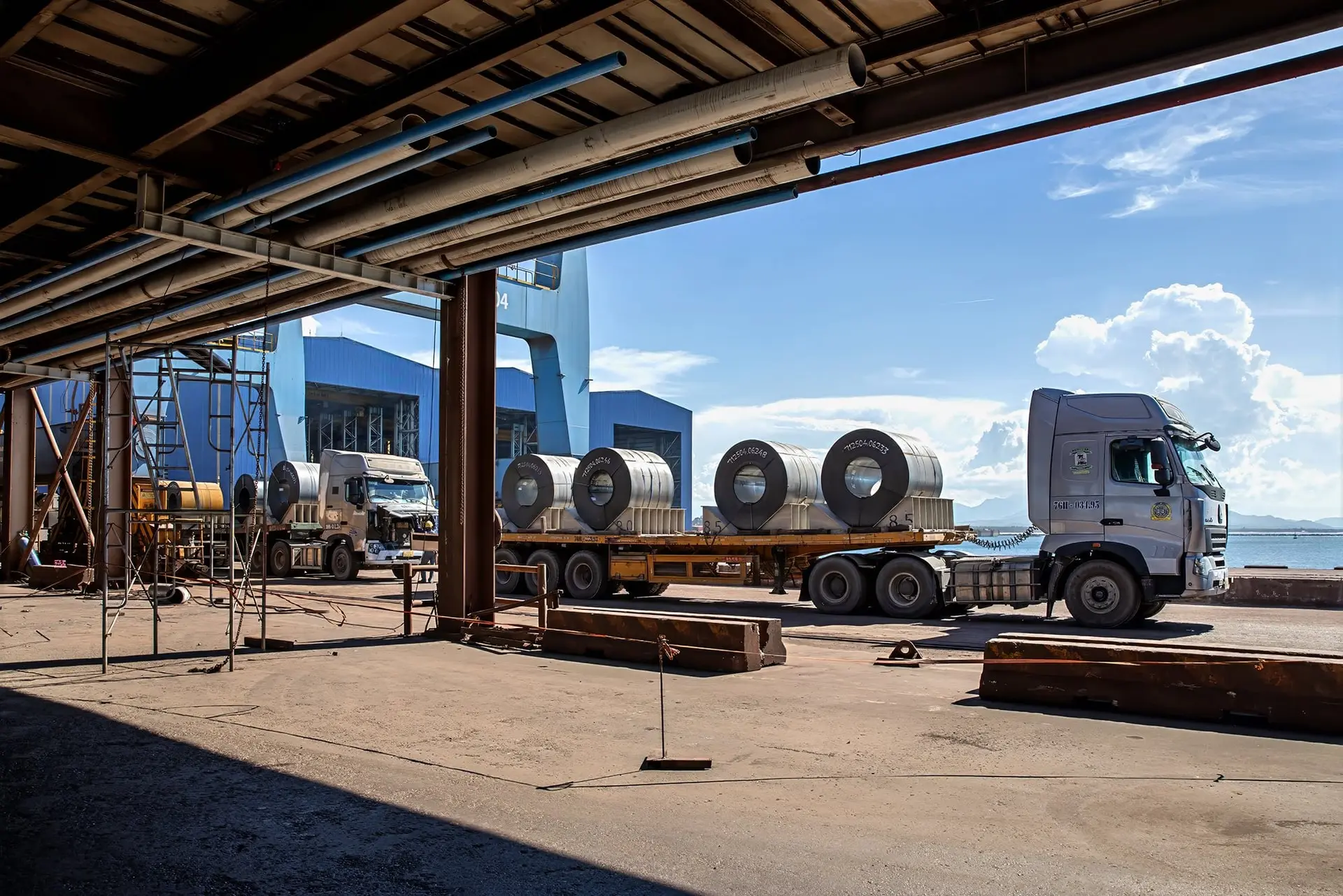 Hình ảnh: Maika Elan