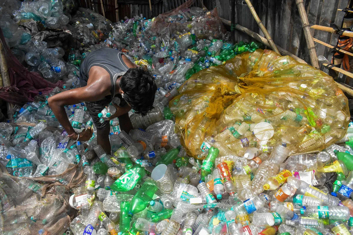 hựa phân hủy sinh học